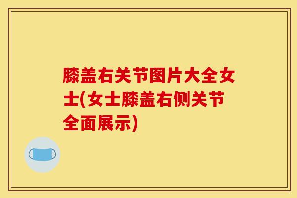 膝盖右关节图片大全女士(女士膝盖右侧关节全面展示)-第1张图片-氨糖科普网