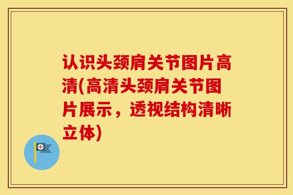 认识头颈肩关节图片高清(高清头颈肩关节图片展示，透视结构清晰立体)-第1张图片-氨糖科普网