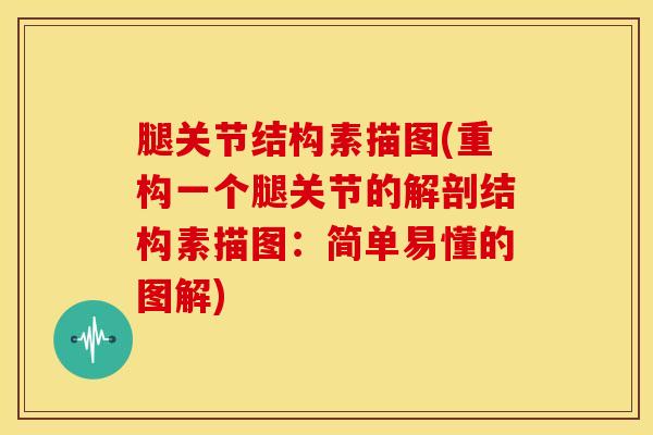 腿关节结构素描图(重构一个腿关节的解剖结构素描图:简单易懂的图解)-第1张图片-氨糖科普网 腿关节结构素描图(重构一个腿关节的解剖结构素描图:简单易懂的图解)-第1张图片-氨糖科普网