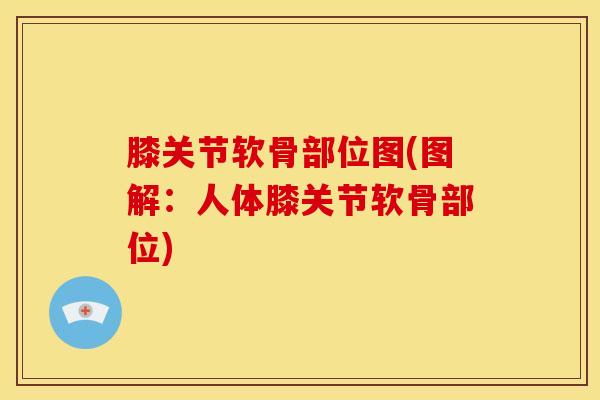 膝关节软骨部位图(图解:人体膝关节软骨部位)-第1张图片-氨糖科普网 膝关节软骨部位图(图解:人体膝关节软骨部位)-第1张图片-氨糖科普网