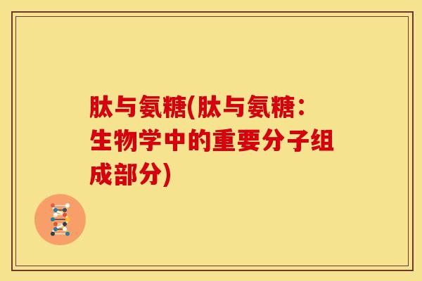 肽与氨糖(肽与氨糖:生物学中的重要分子组成部分)-第1张图片-氨糖科普网 肽与氨糖(肽与氨糖:生物学中的重要分子组成部分)-第1张图片-氨糖科普网