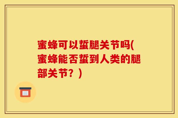 蜜蜂可以蜇腿关节吗(蜜蜂能否蜇到人类的腿部关节？)-第1张图片-氨糖科普网