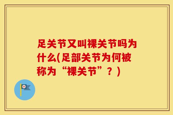 足关节又叫裸关节吗为什么(足部关节为何被称为“裸关节”?)-第1张图片-氨糖科普网 足关节又叫裸关节吗为什么(足部关节为何被称为“裸关节”?)-第1张图片-氨糖科普网