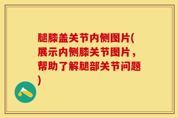 腿膝盖关节内侧图片(展示内侧膝关节图片，帮助了解腿部关节问题)-第1张图片-氨糖科普网