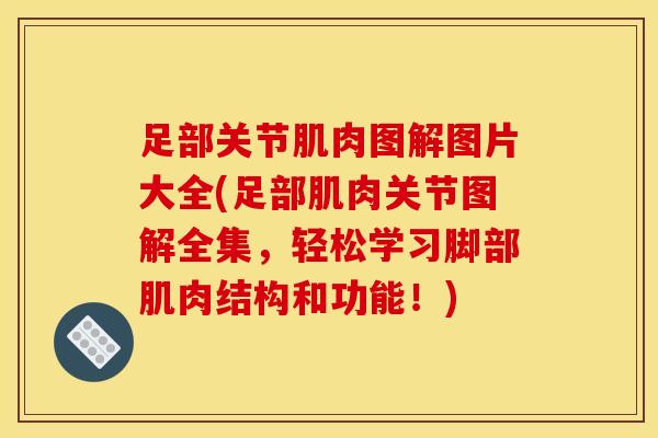 足部关节肌肉图解图片大全(足部肌肉关节图解全集,轻松学习脚部肌肉结构和功能!)-第1张图片-氨糖科普网 足部关节肌肉图解图片大全(足部肌肉关节图解全集,轻松学习脚部肌肉结构和功能!)-第1张图片-氨糖科普网
