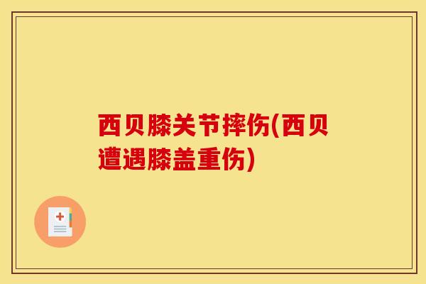 西贝膝关节摔伤(西贝遭遇膝盖重伤)-第1张图片-氨糖科普网 西贝膝关节摔伤(西贝遭遇膝盖重伤)-第1张图片-氨糖科普网