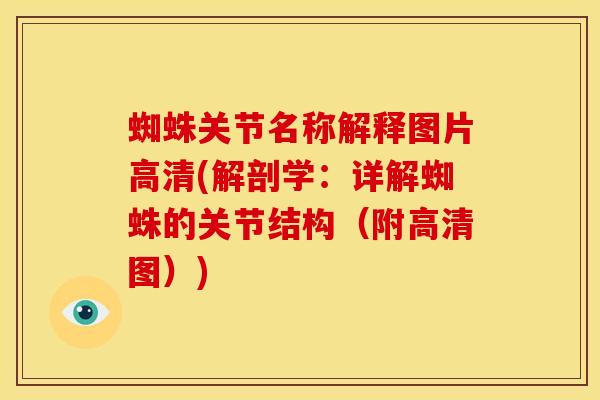 蜘蛛关节名称解释图片高清(解剖学:详解蜘蛛的关节结构(附高清图))-第1张图片-氨糖科普网 蜘蛛关节名称解释图片高清(解剖学:详解蜘蛛的关节结构(附高清图))-第1张图片-氨糖科普网