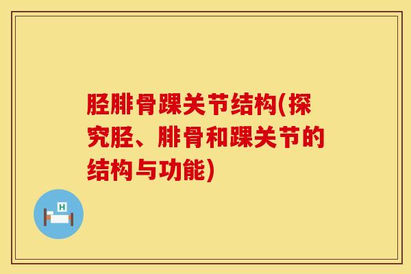 胫腓骨踝关节结构(探究胫、腓骨和踝关节的结构与功能)-第1张图片-氨糖科普网 胫腓骨踝关节结构(探究胫、腓骨和踝关节的结构与功能)-第1张图片-氨糖科普网