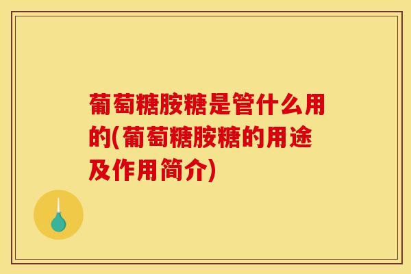 葡萄糖胺糖是管什么用的(葡萄糖胺糖的用途及作用简介)-第1张图片-氨糖科普网