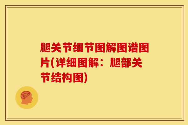腿关节细节图解图谱图片(详细图解:腿部关节结构图)-第1张图片-氨糖科普网 腿关节细节图解图谱图片(详细图解:腿部关节结构图)-第1张图片-氨糖科普网
