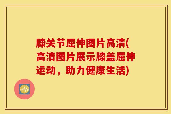 膝关节屈伸图片高清(高清图片展示膝盖屈伸运动,助力健康生活)-第1张图片-氨糖科普网 膝关节屈伸图片高清(高清图片展示膝盖屈伸运动,助力健康生活)-第1张图片-氨糖科普网