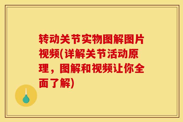 转动关节实物图解图片视频(详解关节活动原理,图解和视频让你全面了解)-第1张图片-氨糖科普网 转动关节实物图解图片视频(详解关节活动原理,图解和视频让你全面了解)-第1张图片-氨糖科普网