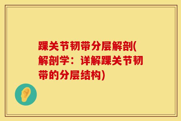 踝关节韧带分层解剖(解剖学:详解踝关节韧带的分层结构)-第1张图片-氨糖科普网 踝关节韧带分层解剖(解剖学:详解踝关节韧带的分层结构)-第1张图片-氨糖科普网
