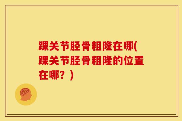 踝关节胫骨粗隆在哪(踝关节胫骨粗隆的位置在哪?)-第1张图片-氨糖科普网 踝关节胫骨粗隆在哪(踝关节胫骨粗隆的位置在哪?)-第1张图片-氨糖科普网