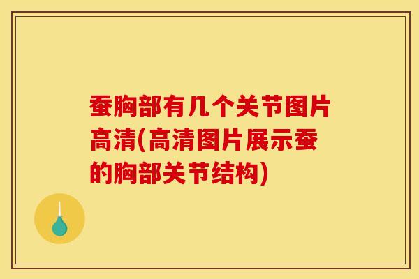 蚕胸部有几个关节图片高清(高清图片展示蚕的胸部关节结构)-第1张图片-氨糖科普网 蚕胸部有几个关节图片高清(高清图片展示蚕的胸部关节结构)-第1张图片-氨糖科普网