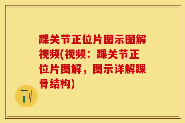 踝关节正位片图示图解视频(视频：踝关节正位片图解，图示详解踝骨结构)-第1张图片-氨糖科普网