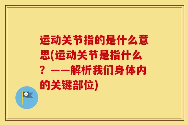 运动关节指的是什么意思(运动关节是指什么？——解析我们身体内的关键部位)-第1张图片-氨糖科普网