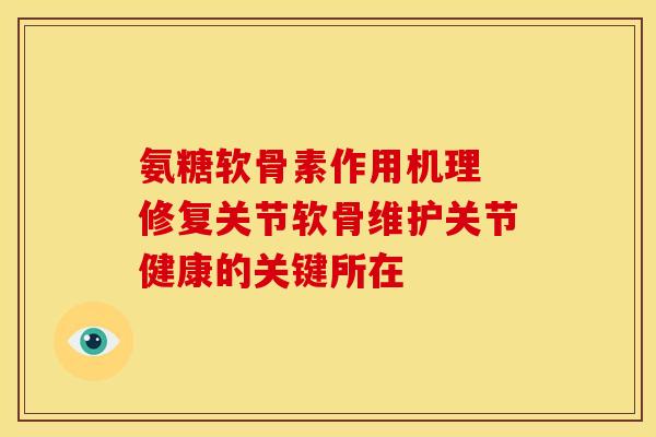 氨糖软骨素作用机理 修复关节软骨维护关节健康的关键所在-第1张图片-氨糖科普网 氨糖软骨素作用机理 修复关节软骨维护关节健康的关键所在-第1张图片-氨糖科普网