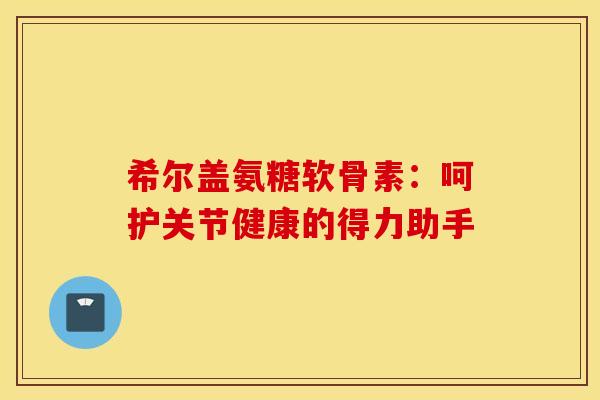 希尔盖氨糖软骨素：呵护关节健康的得力助手-第1张图片-氨糖科普网