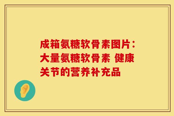 成箱氨糖软骨素图片：大量氨糖软骨素 健康关节的营养补充品-第1张图片-氨糖科普网