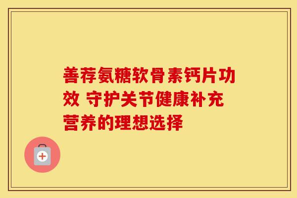善荐氨糖软骨素钙片功效 守护关节健康补充营养的理想选择-第1张图片-氨糖科普网 善荐氨糖软骨素钙片功效 守护关节健康补充营养的理想选择-第1张图片-氨糖科普网