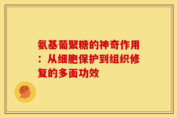 氨基葡聚糖的神奇作用:从细胞保护到组织修复的多面功效-第1张图片-氨糖科普网 氨基葡聚糖的神奇作用:从细胞保护到组织修复的多面功效-第1张图片-氨糖科普网