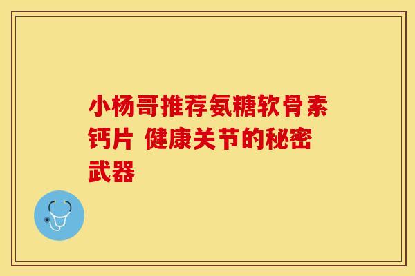 小杨哥推荐氨糖软骨素钙片 健康关节的秘密武器-第1张图片-氨糖科普网 小杨哥推荐氨糖软骨素钙片 健康关节的秘密武器-第1张图片-氨糖科普网