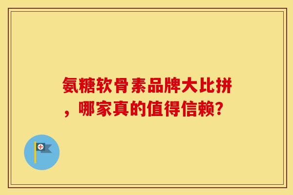 氨糖软骨素品牌大比拼,哪家真的值得信赖?-第1张图片-氨糖科普网 氨糖软骨素品牌大比拼,哪家真的值得信赖?-第1张图片-氨糖科普网