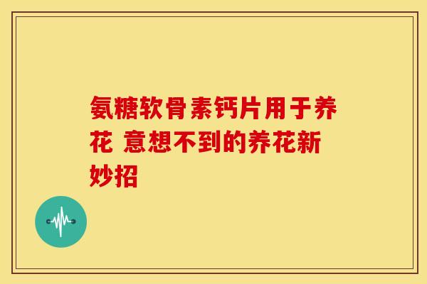 氨糖软骨素钙片用于养花 意想不到的养花新妙招-第1张图片-氨糖科普网 氨糖软骨素钙片用于养花 意想不到的养花新妙招-第1张图片-氨糖科普网