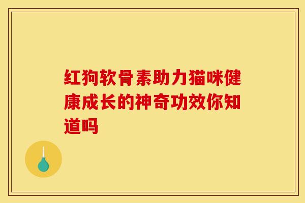 红狗软骨素助力猫咪健康成长的神奇功效你知道吗-第1张图片-氨糖科普网